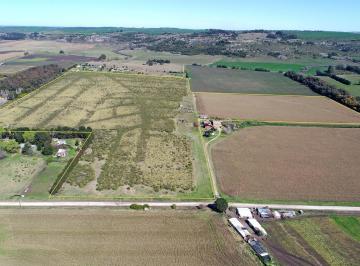 Campo · 410000ha · Mar del Plata - 41 Ha Sierra de Los Padres