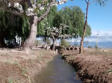 Campo · 234400m² · Finca en Venta