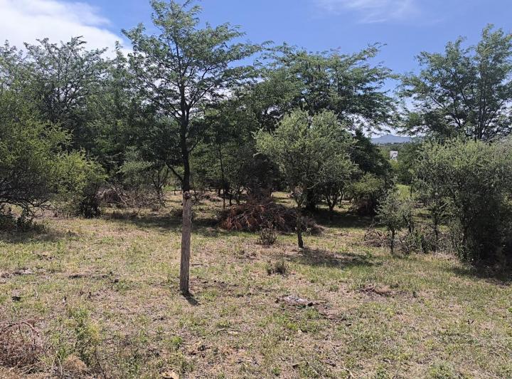Terreno · 738m²