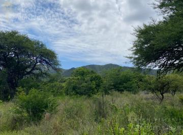Terreno · 461m² · Cuatro Lotes en Venta | Bº Cerro de Oro | Santa Rosa de Calamuchita