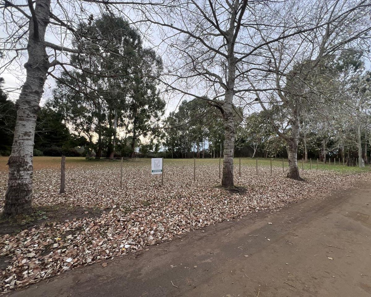 Terreno en venta ubicado en la zona de El Paraíso, ideal para desarrollo.