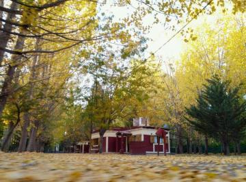 Casa de 2 ambientes, Uspallata · Se Alquilan Cabañas Mensulamente en Uspallata Sobre Rn7, Las Heras, Mendoza Equipadas