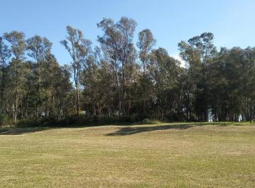 Terreno · 8266m² · Terreno - Chacras del Parana - Zarate
