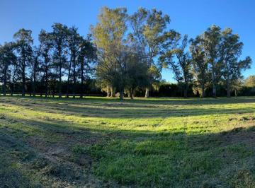 Terreno · 90000m² · Chacras del Paraná - Terreno
