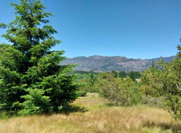 Campo · 23000m² · Chacra en Las Golondrinas - Chubut