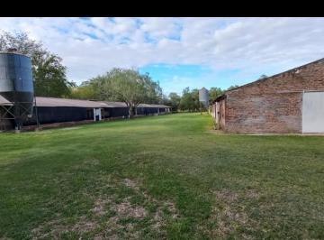 Campo de 8 ambientes, Pilar · Ex Granja Avicola, Ahora Chacrita