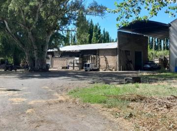 Campo · 723m² · 4 Ambientes · Chacra en Venta, Villa Regina
