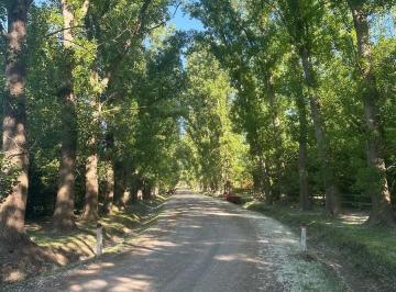 Terreno · 4740m² · Venta Lote Central y Arbolado en Haras El Malacate Exaltación de La Cruz