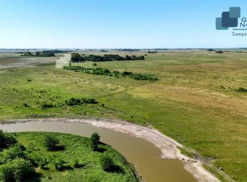 GNP-GNP-894_2 · Campo en Venta 550 Has Chascomus Magdalena