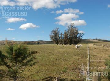 Campo · 110000m² · Chacra - Abra de Perdomo