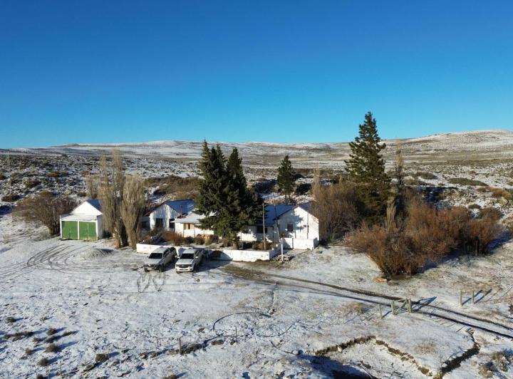 Campo · 250m² · 4 Ambientes