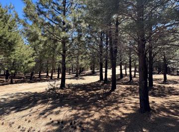 LOTE · Lotes Altos de Pehuenia