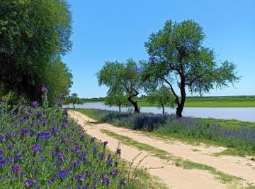 Campo · 200m² · 6 Ambientes · 2 Cocheras · Campo con Vista Al Rio en Venta en Helvecia