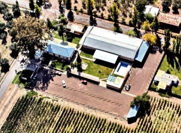 Bodega-Galpón · 1850m² · Bodega en Maipú