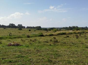 Campo · 54000m² · Chacra 5,4 Hecatáreas Ruta 104 y Camino Pereira, Maldonado