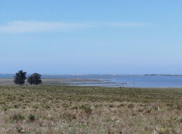 Campo · 30000m² · Chacras Marítimas de 3 Hectáreas de Campo, con Vista a Laguna de José Ignacio