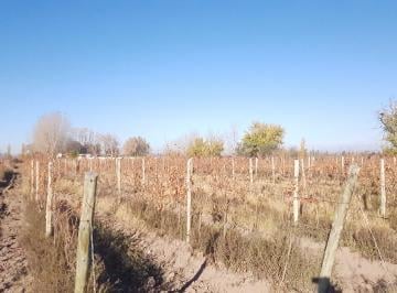 Campo , Rivadavia · Vende Finca de 33,375 Hectáreas, Ubicada en Rivadavia, Provincia de Mendoza.