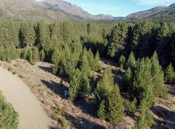 Terreno · 1333m² · Terreno Lote en Venta Ubicado en Dos Valles, Bariloche