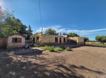 Casa de 8 ambientes, Maipú · Oportunidad! Venta o Alquiler 1.08ha y Chalet 290 m²