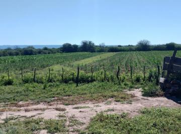 Terreno · 1000000m² · Campo en Bañado de Soto