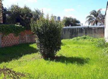 Terreno · 217m² · Nuevo Valor. Lote Sobre Av - 10 X 22 m - S. A. de Padua