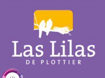 Terreno , Plottier · ¡Vende! Lote Las Lilas, Plottier.