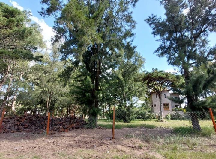 Terreno · 639m²