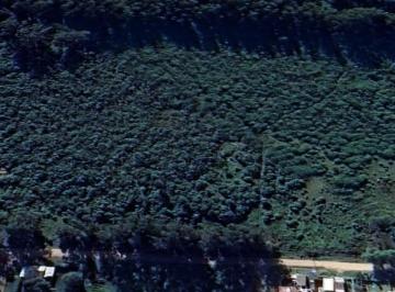 Campo , Miramar · Fraccion de 4 1/2 Ha en Miramar