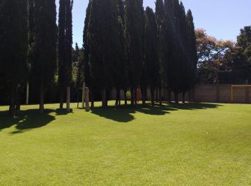 Campo de 3 ambientes, Berazategui · Lote Venta con Arboleda. Calle 369 B, Ranelagh