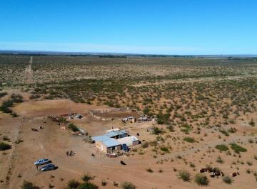 Campo · 24000000m² · Campo en Senillosa