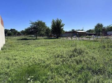 MRE-MRE-2176_2 · Venta Lote 20 m de Frente Chascomus, Zona Campo con Buen Vecindario