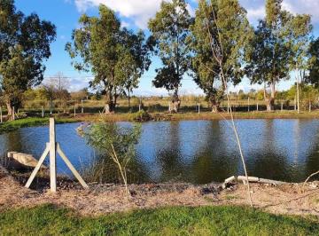 Terreno · 550m² · Terreno en Venta - 550 m² - Santa Emilia, Pilar