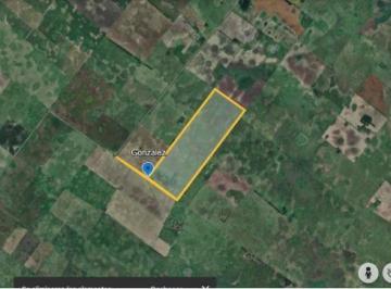 Campo , General Belgrano · Campo en General Belgrano