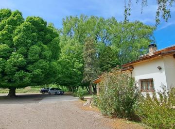 Campo · 120m² · 4 Ambientes · Vendo Chacras en Allen