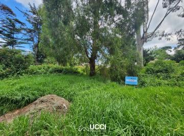 Terreno , Mar del Plata · Venta Unica de Lotes de Terreno. Bosque Peralta Ramos.
