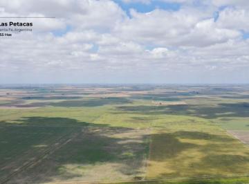 Campo · Campo de 255 Hectáreas en Las Petacas, Santa Fe