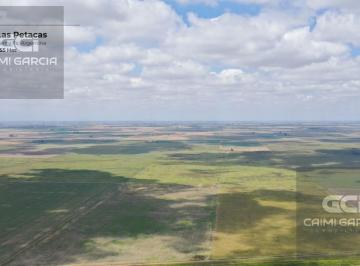 Campo · Campo de 255 Hectáreas en Las Petacas, Santa Fe
