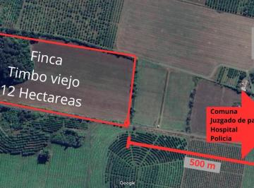 Terreno , El Timbó · Finca - El Timbo Viejo