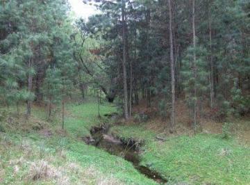 Terreno , Yacanto · Venta de Dos Ha y Media - Tlc0028