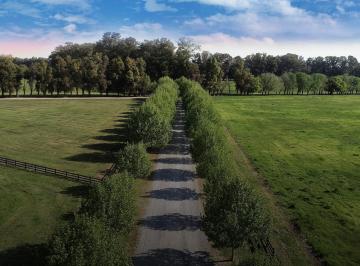 Terreno · 1147m² · Terreno en Technopolo Resort & Country Club
