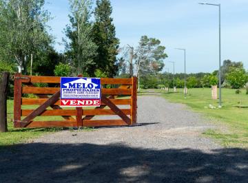 Terreno · 903m² · Financiado Los Cerezos de Open Door Lote 7 Mz 10 B