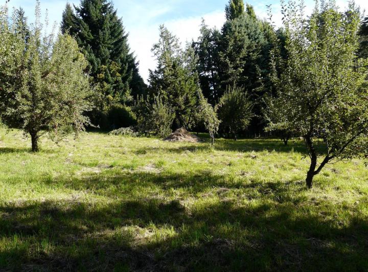 Terreno · 1100m²