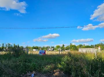 FAE-FAE-739_2 · Lote. | Las Moras