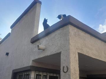 Casa de 4 ambientes, San Rafael · Casa Departamento y Pileta en San Rafael Mendoza
