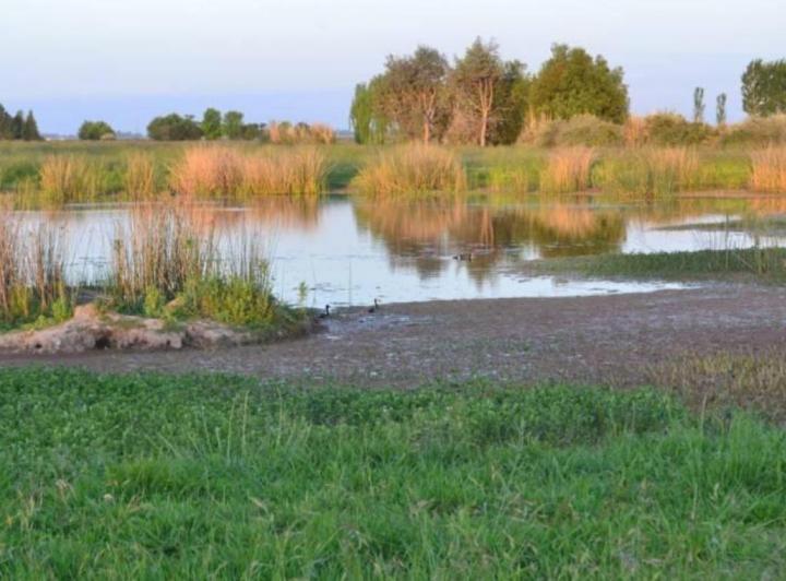 Campo · 12000m²