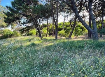 Terreno · 2400m² · Lotes Terrenos en Venta en Colonia Marina