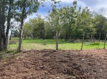 Terreno · 1561m² · Terreno 1555 m² - Arturo Seguí - La Plata
