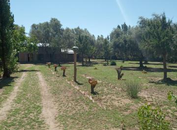 Casa de 5 ambientes, San Rafael · Casa Quinta, Estilo Campo a Minutos del Centro de San Rafael