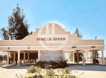 Terreno · 650m² · Terreno en Fincas Joven