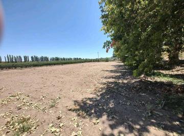 Terreno · 400m² · Venta de Lotes Excepcionales Sobre Calle Martinez - Junin, Mza.